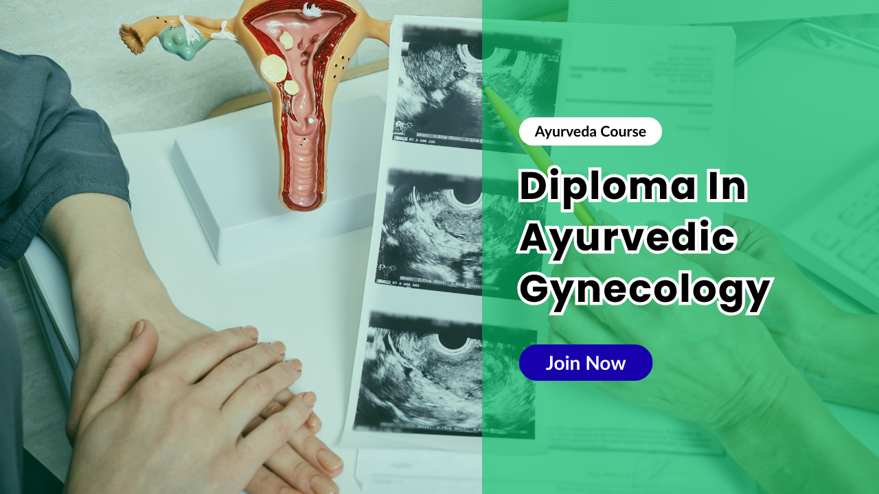 dago course, gyne course,